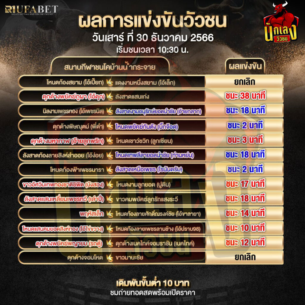 โปรแกรมวัวชน