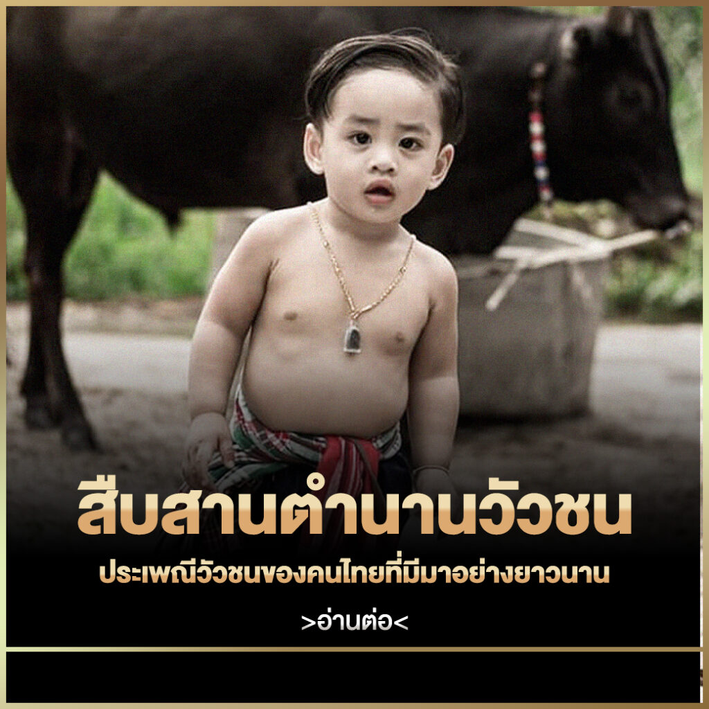 วัวชน