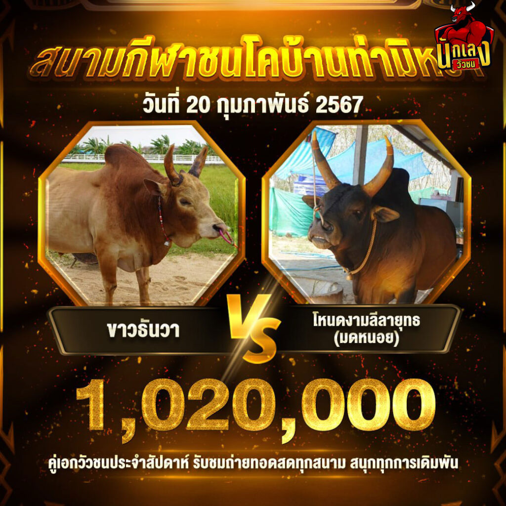 วัวชน